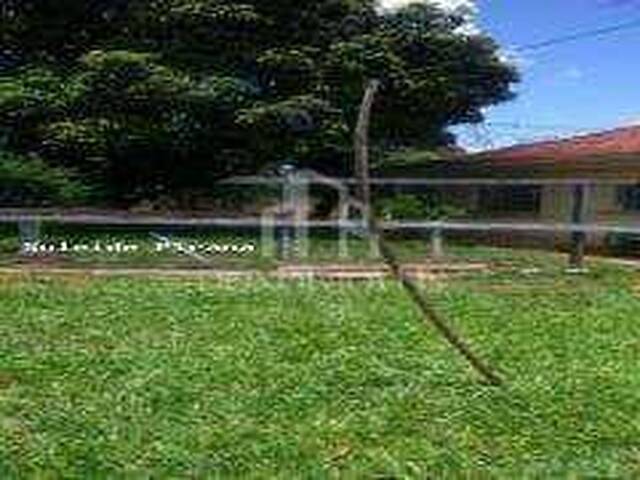 #903 - Terreno para Venda em São Bernardo do Campo - SP - 2