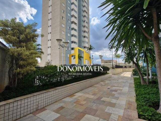 Venda em Vila Valparaíso - Santo André